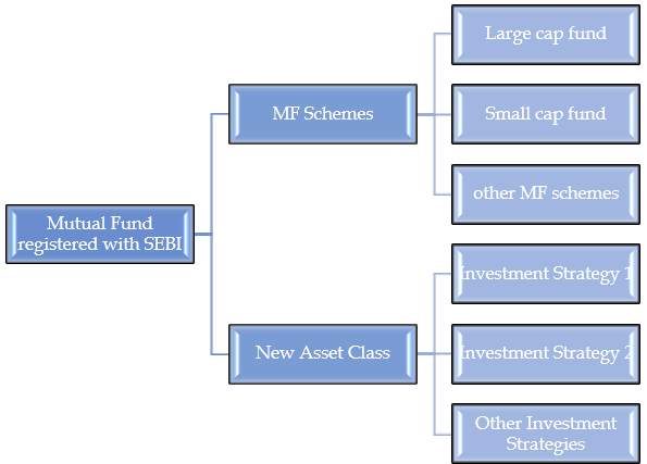 Sponsor of the Mutual Fund doesn't need to maintain separate net worth or infrastructure for the SEBI's New Asset Class