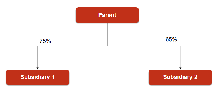 Ownership Interest 