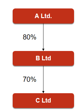 Ownership Interest 